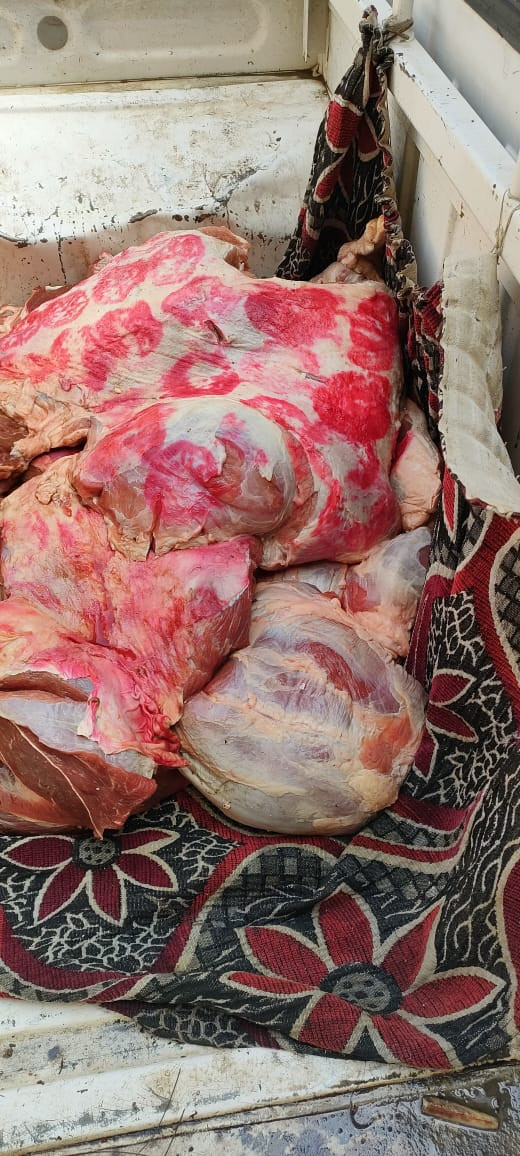 المضبوطات