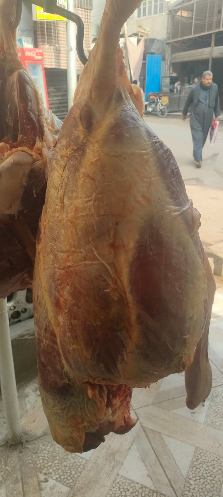 المضبوطات