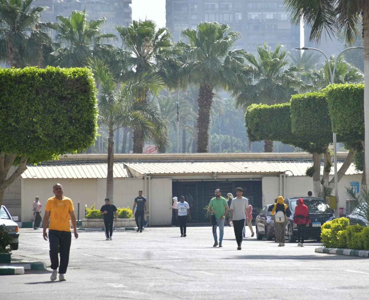 انتظام الدراسة بكليات جامعة القاهرة