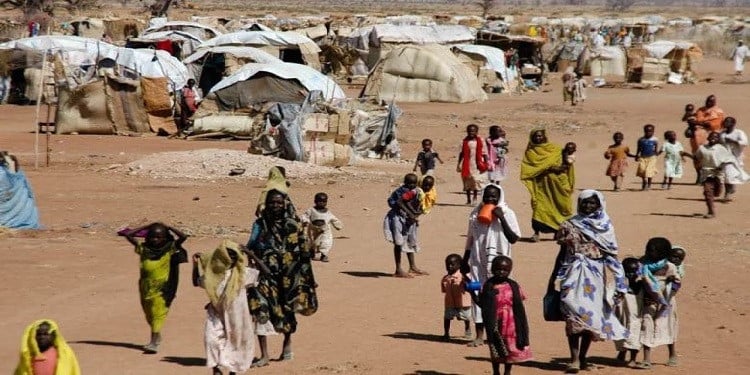 الأمم المتحدة: عدد النازحين في كردفان بالسودان يتجاوز 115 ألفًا منذ أكتوبر
