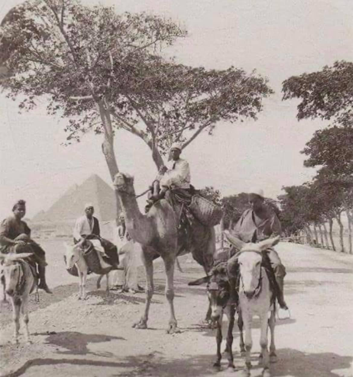 شارع الهرم قديما