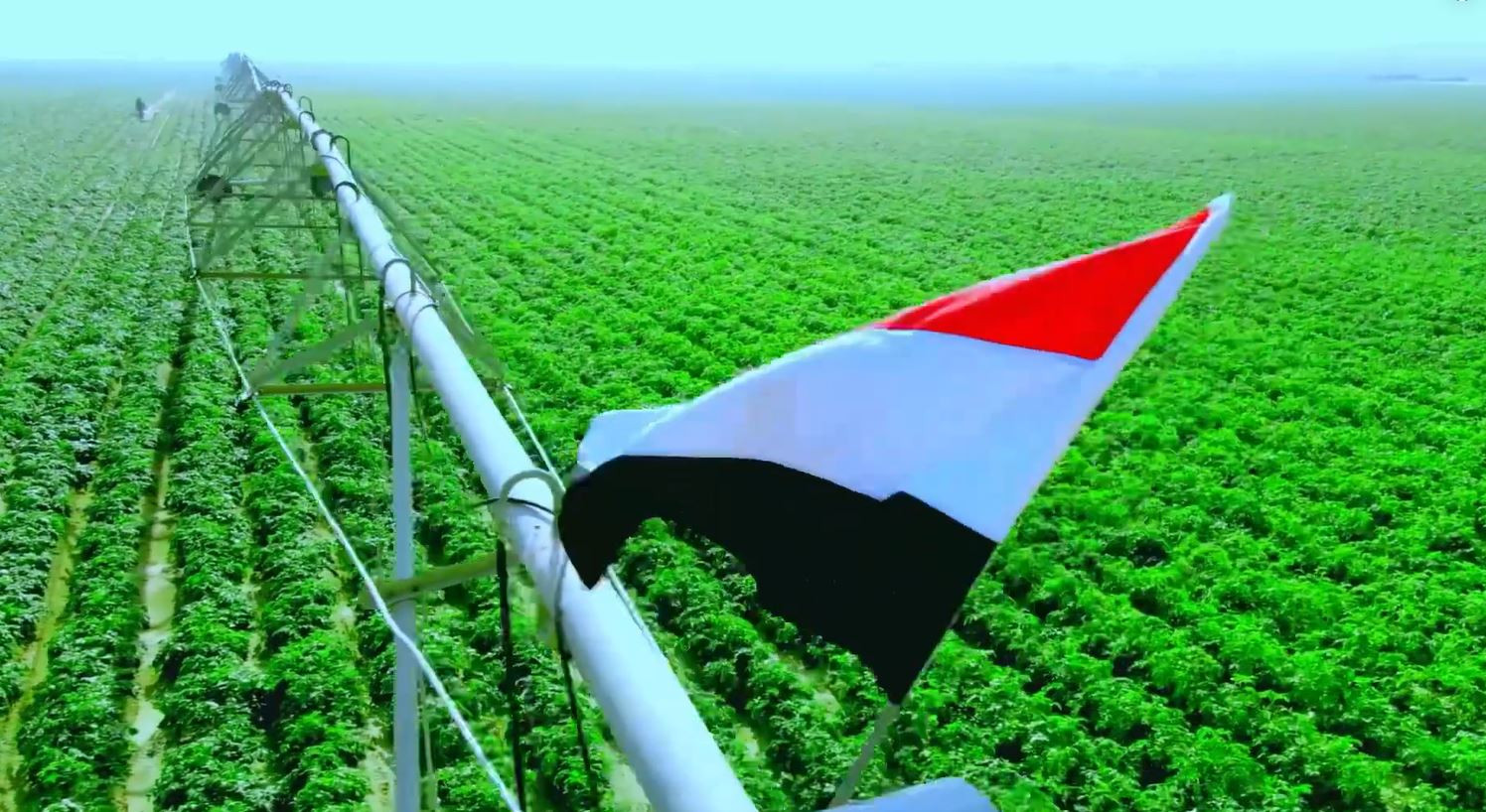 شرق العوينات