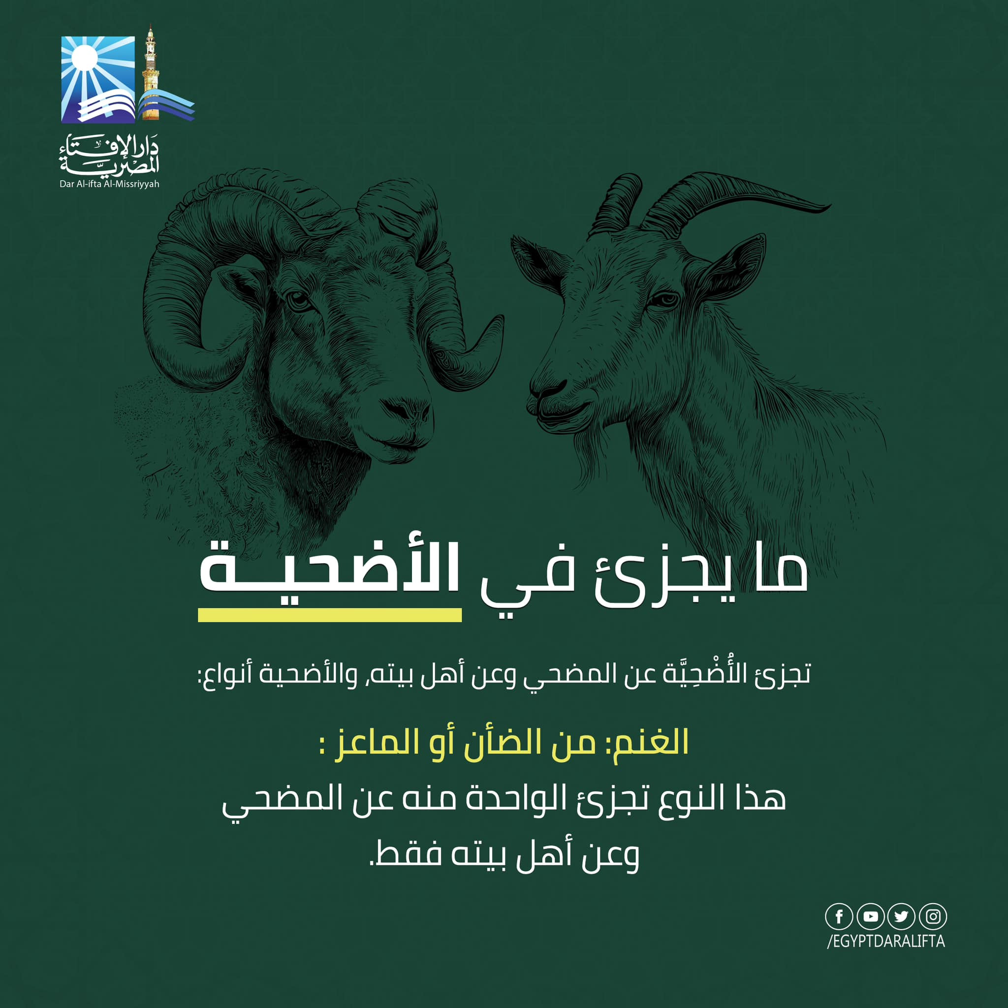 دار الإفتاء توضح ما يجزئ فى الأضحية