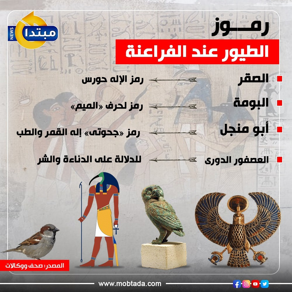 رموز الطيور عند الفراعنة (إنفوجراف)