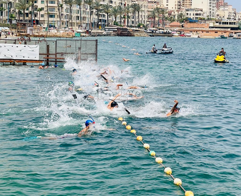نهائى بطولة كأس مصر للسباحة