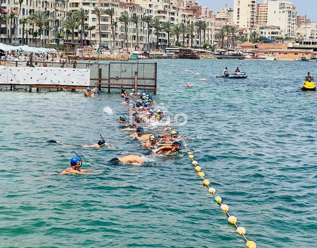 نهائى بطولة كأس مصر للسباحة