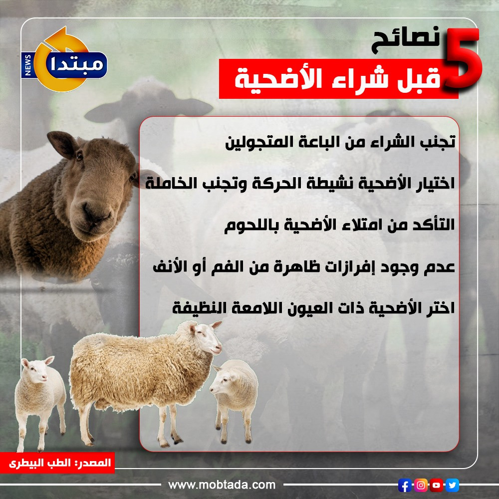 شروط الأضحية