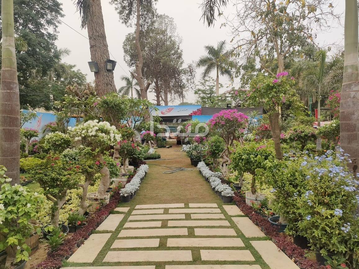 معرض زهور الربيع بالدقى