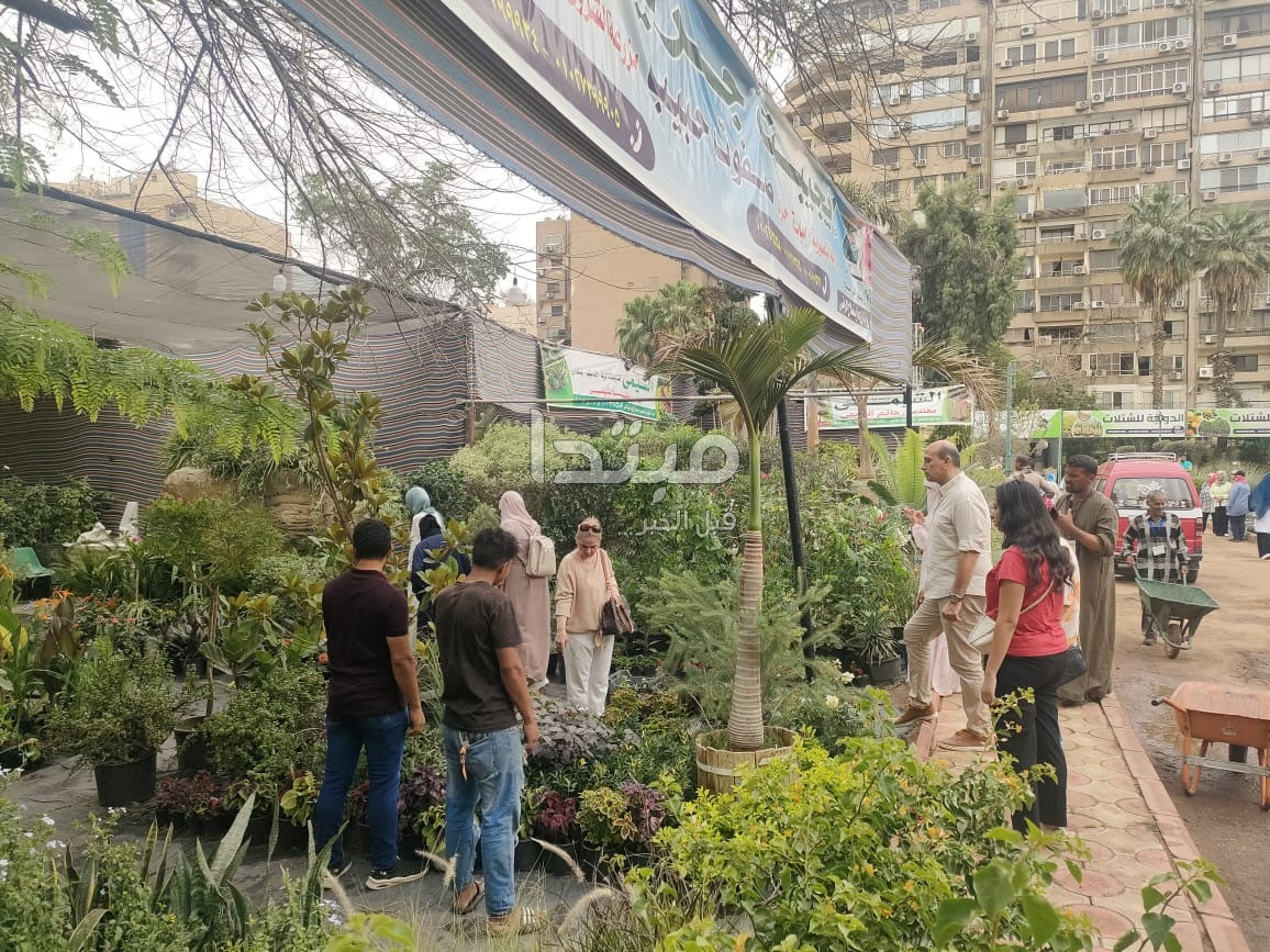 معرض زهور الربيع بالدقى