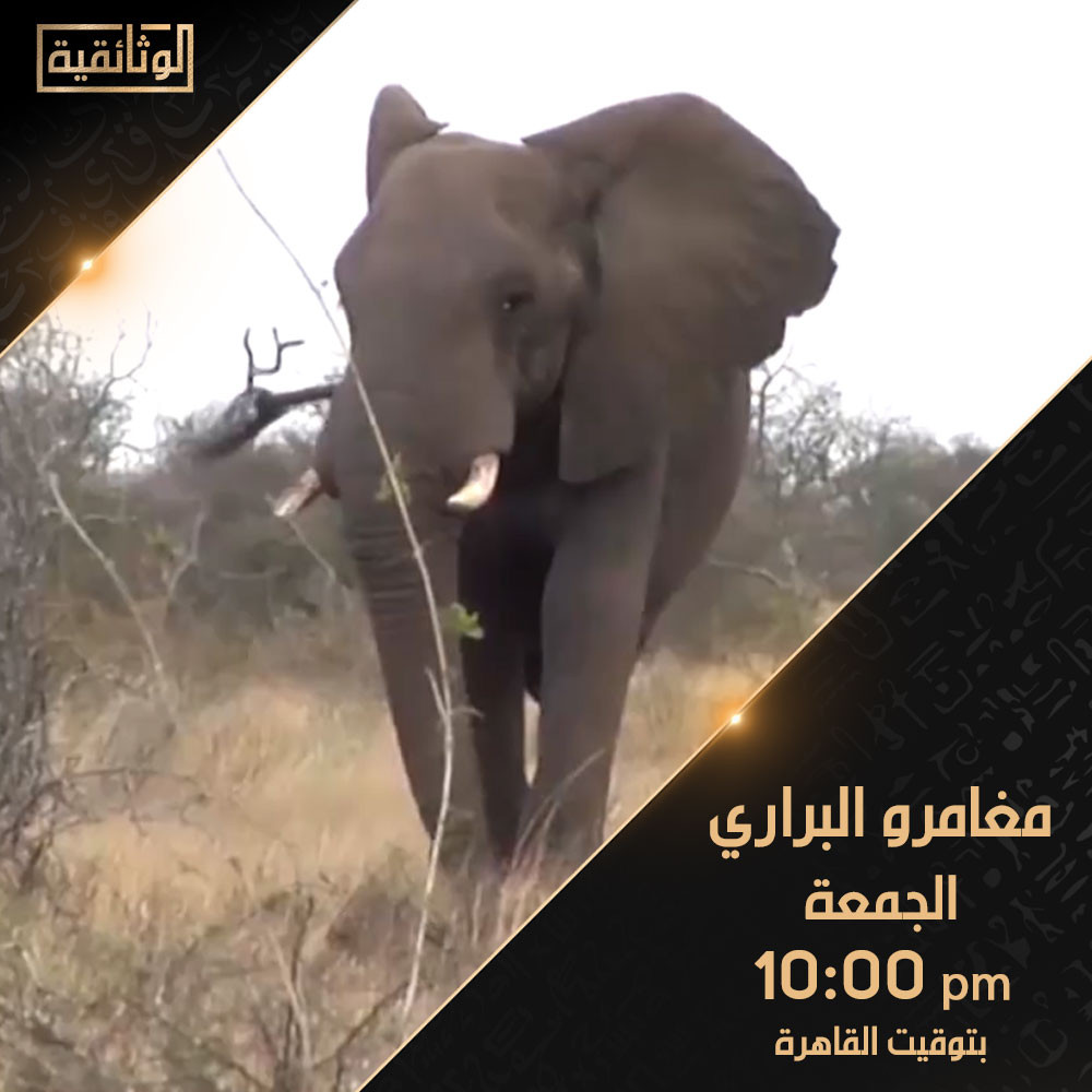 برامج الوثائقية
