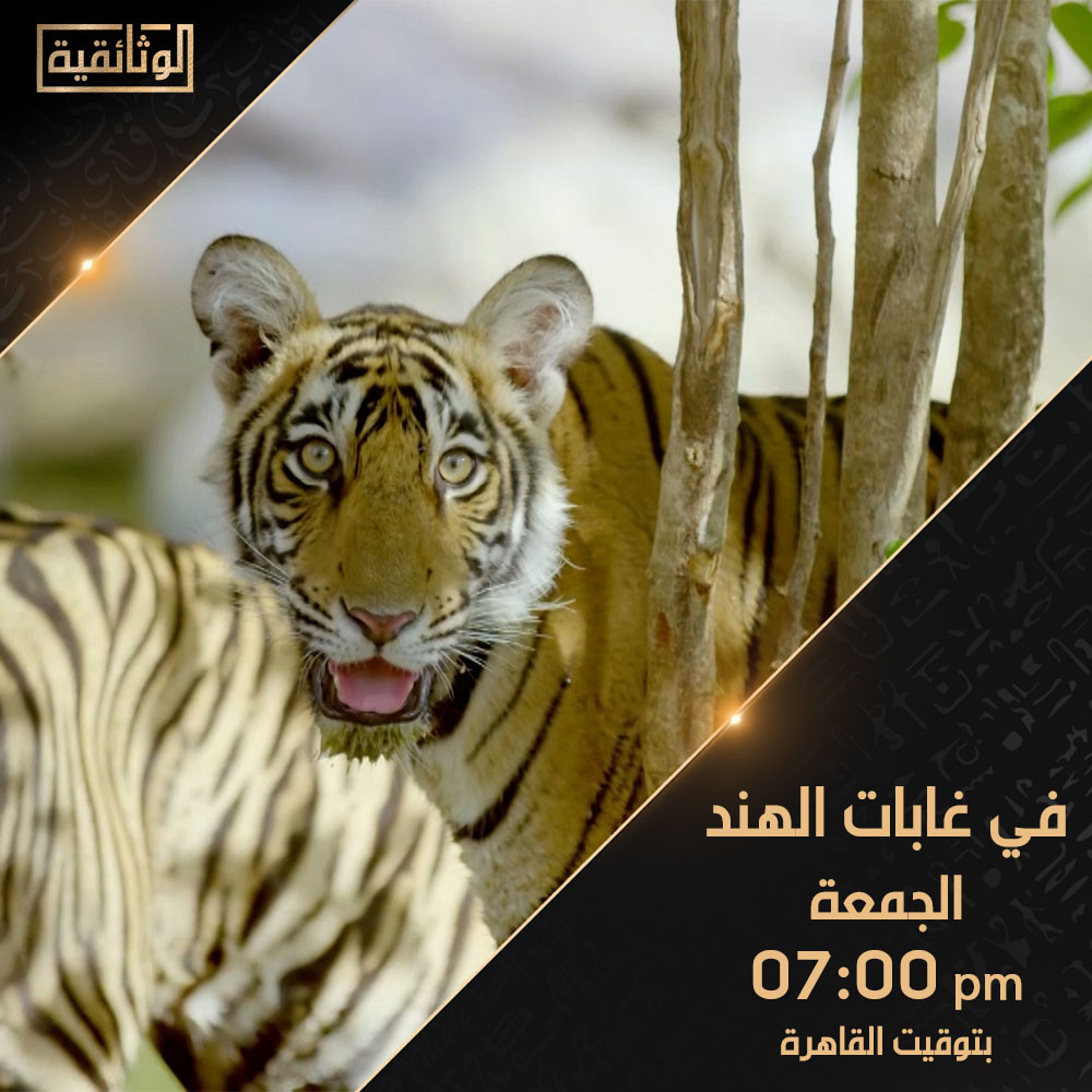 برامج الوثائقية