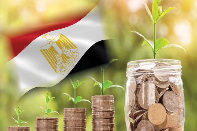 الاستثمار البيئى