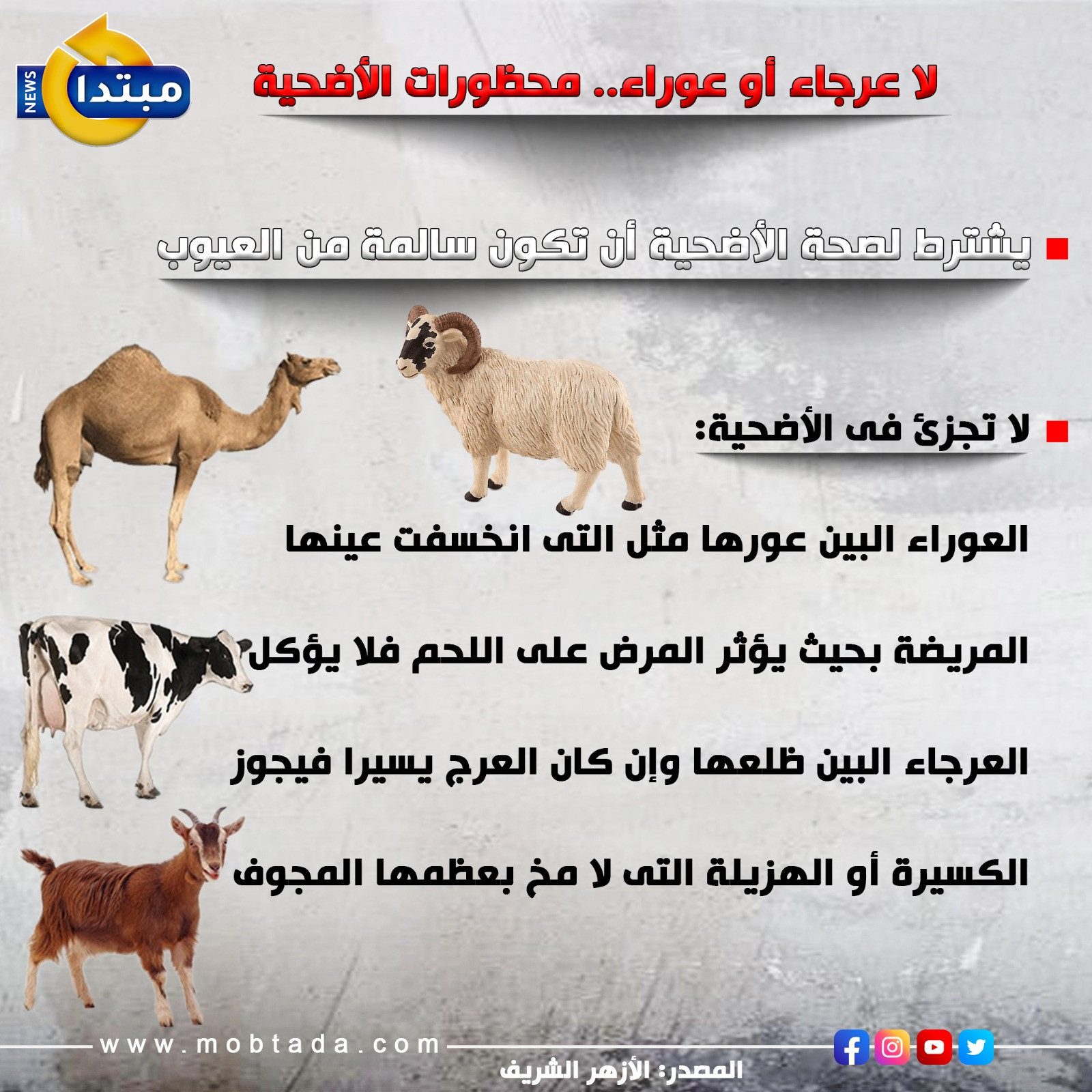 محظورات الأضحية