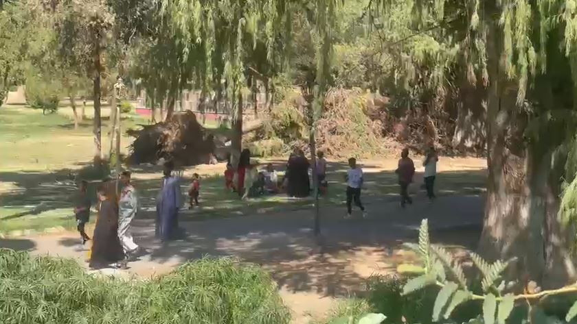 حديقة الأورمان