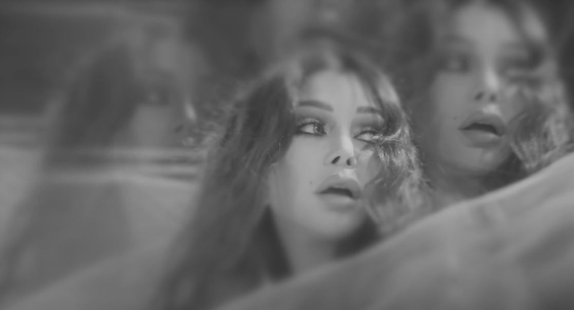 هيفاء وهبى