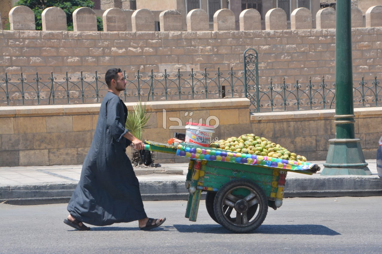 بائع تين شوكى