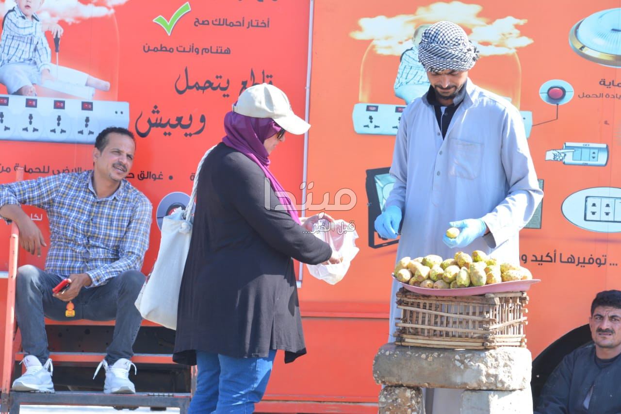 ارتفاع الحرارة وشبورة ورياح: تفاصيل حالة الطقس خلال 6 أيام