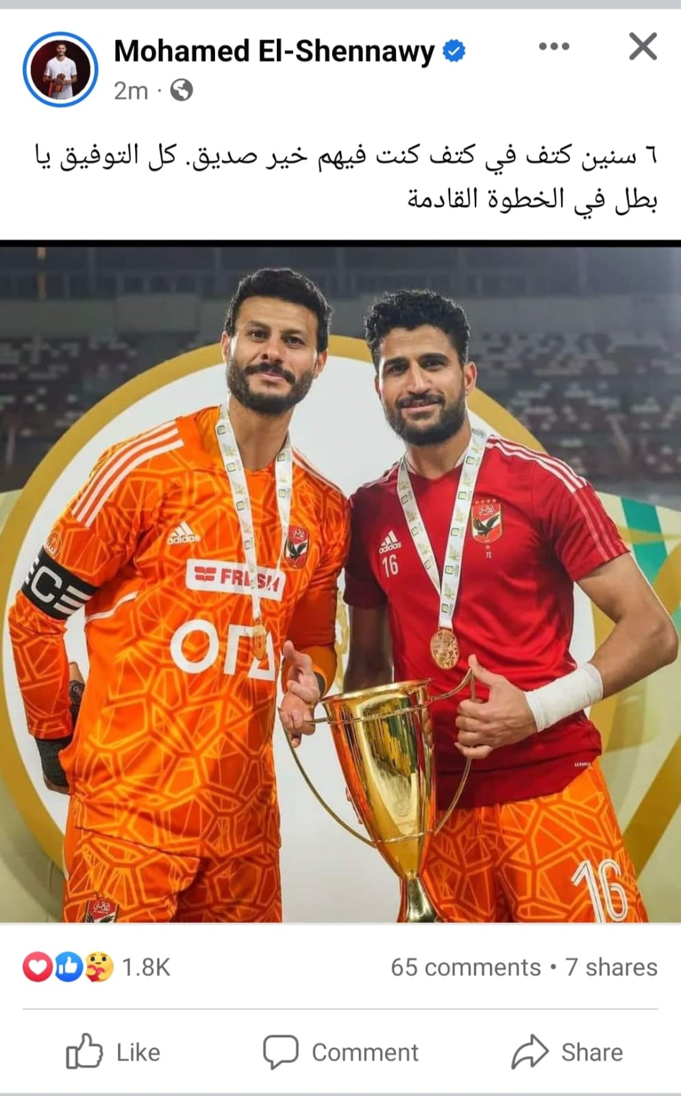 الشناوى