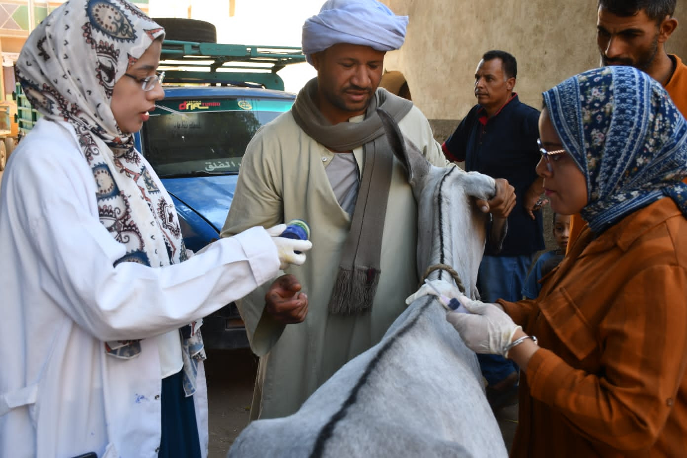 قافلة جامعة سوهاج البيطرية