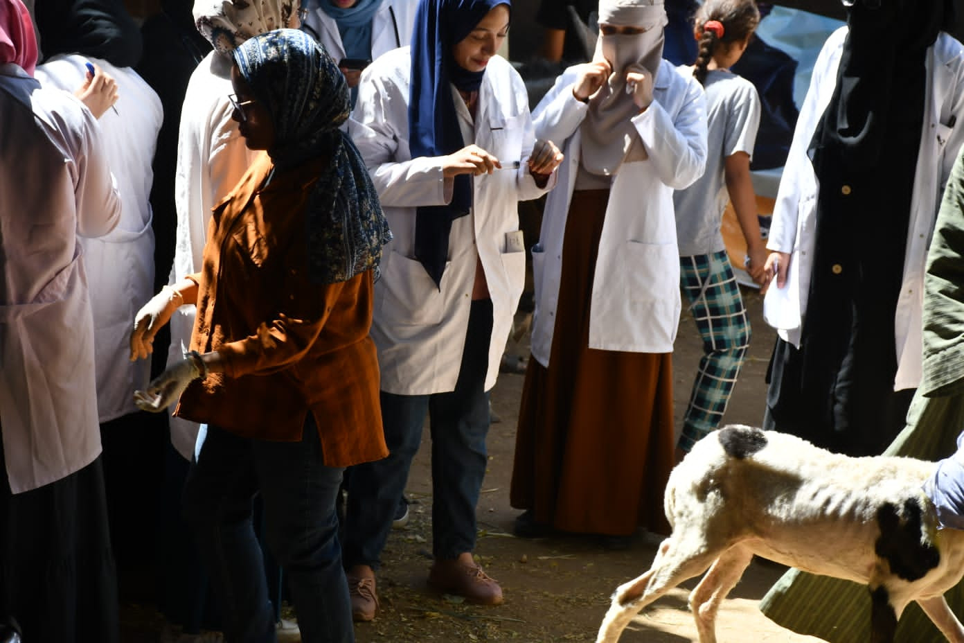 قافلة جامعة سوهاج البيطرية