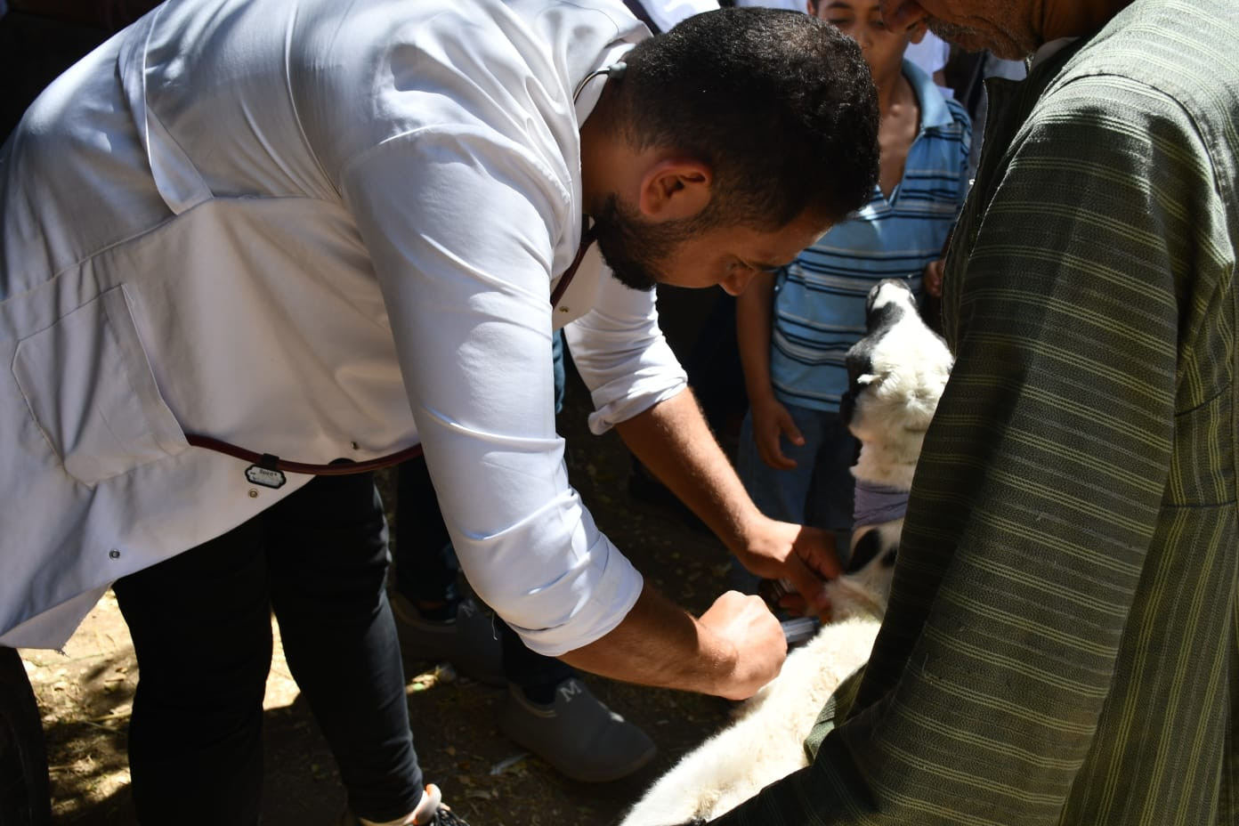 قافلة جامعة سوهاج البيطرية