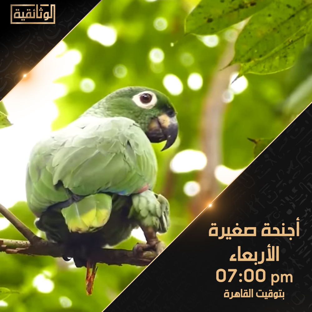 عرض الفيلم الوثائقي