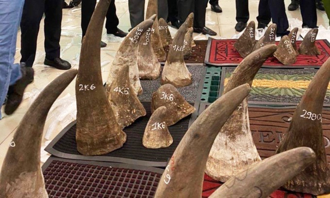 الحياة البرية