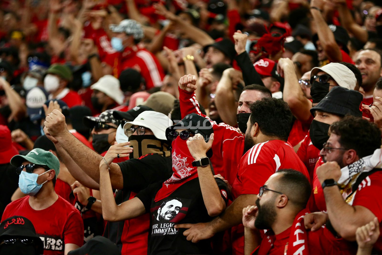 جماهير الأهلي