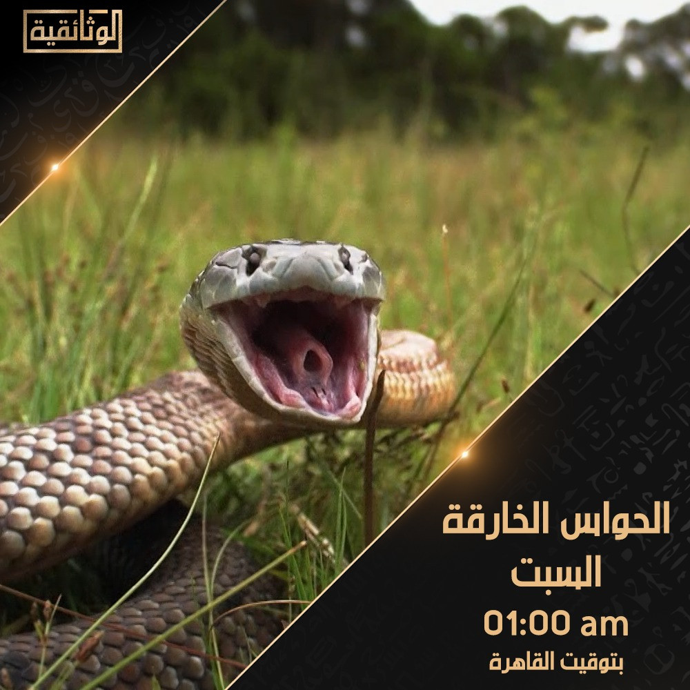 برامج الوثائقية