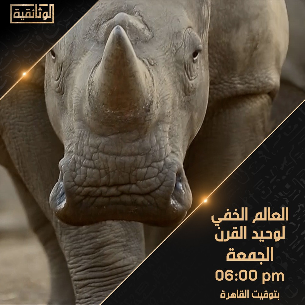 برامج الوثائقية