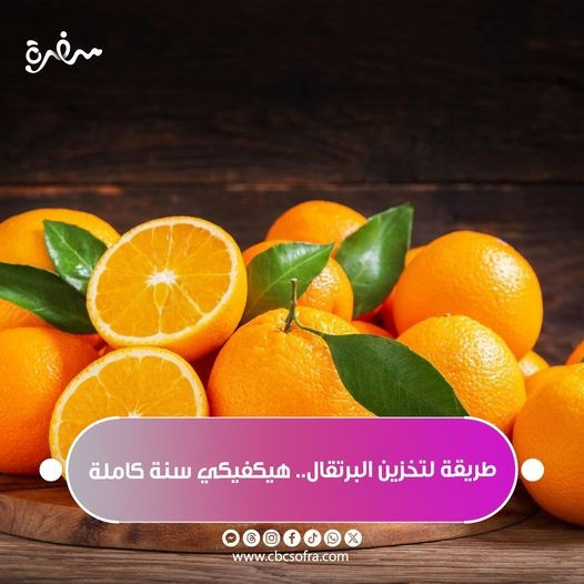البرتقال