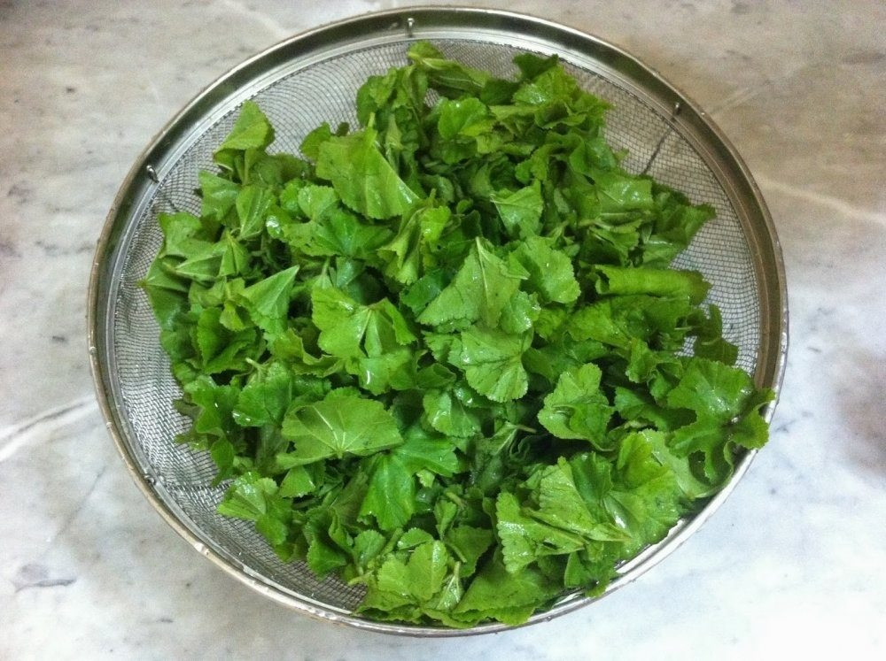 الخبيزة