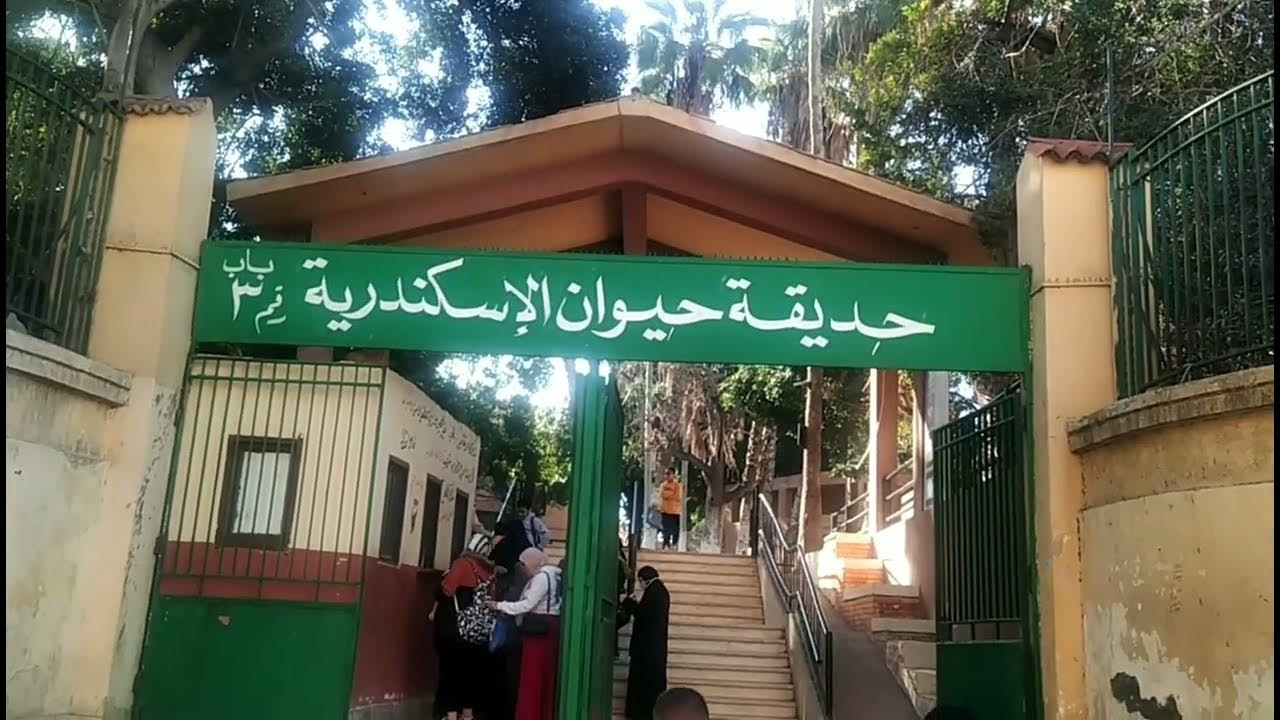 127 ألف زائر لحدائق الحيوان بالمحافظات خلال إجازة عيد الفطر