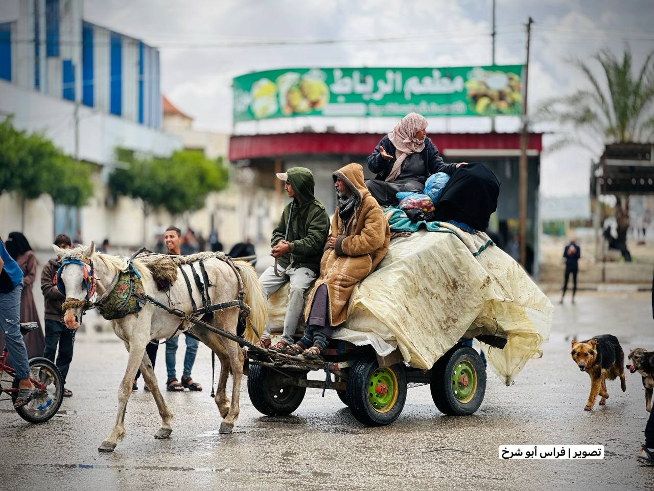 نزوح أهالي رفح نزوح أهالي رفح