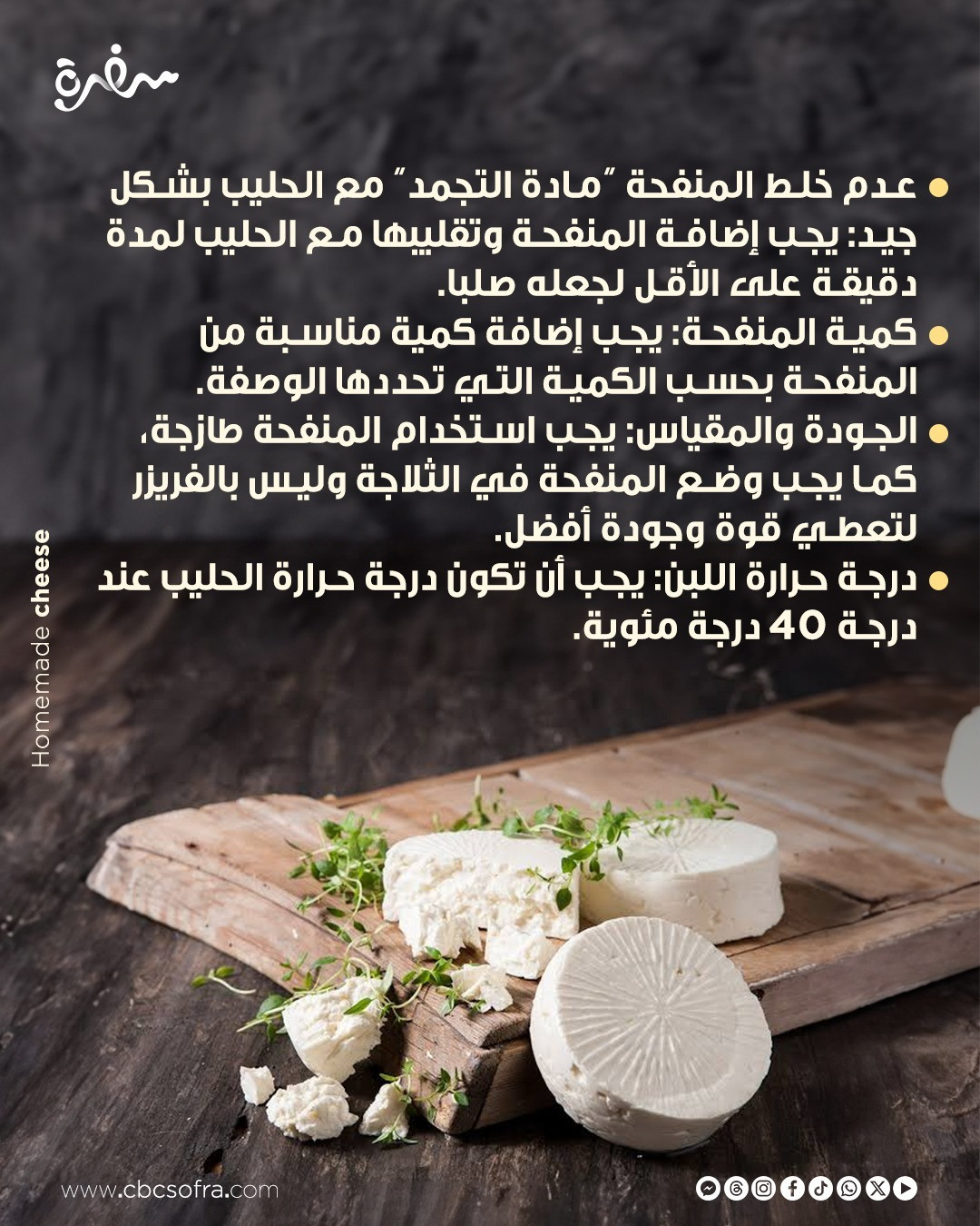 الجبن الجبن