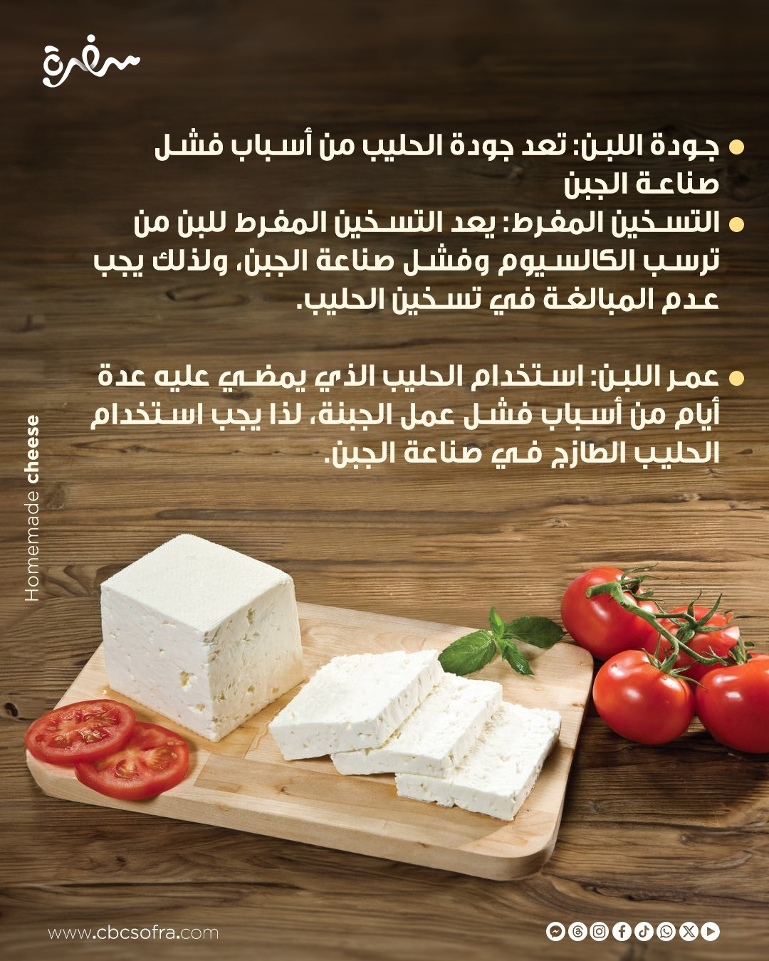 الجبن الجبن