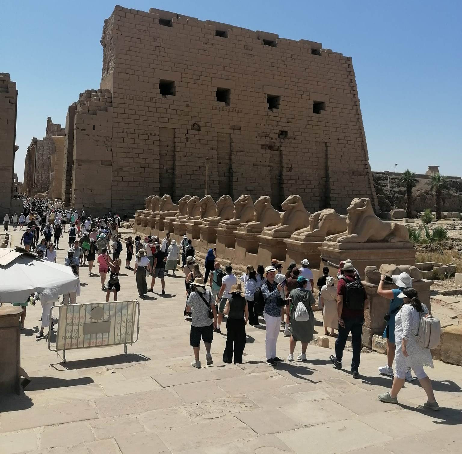 السياحة في مصر السياحة في مصر