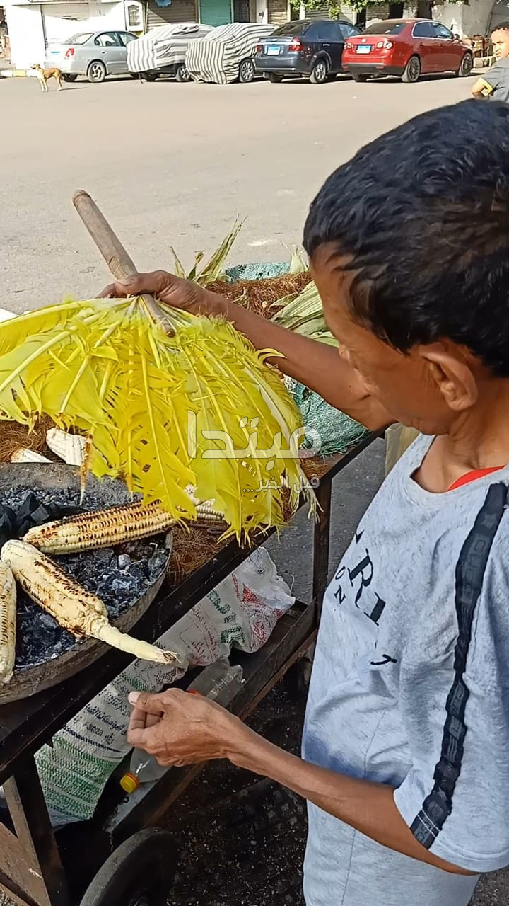 متولي متولي