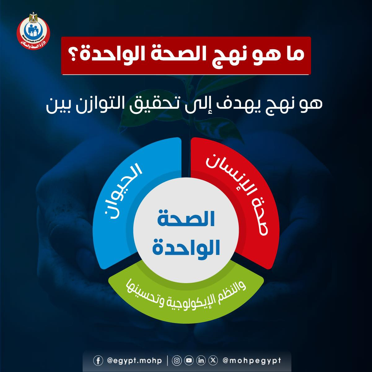 نهج الصحة الواحدة نهج الصحة الواحدة