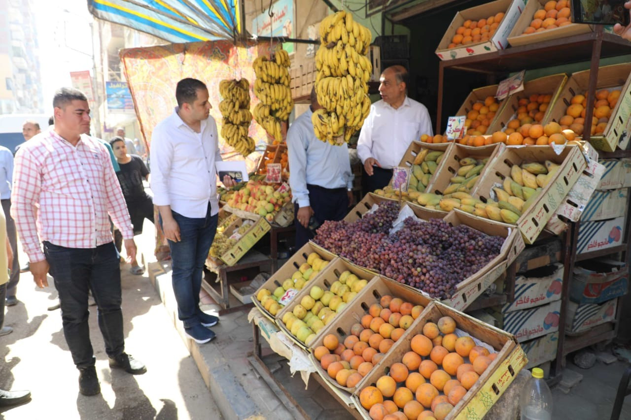 محافظ المنيا