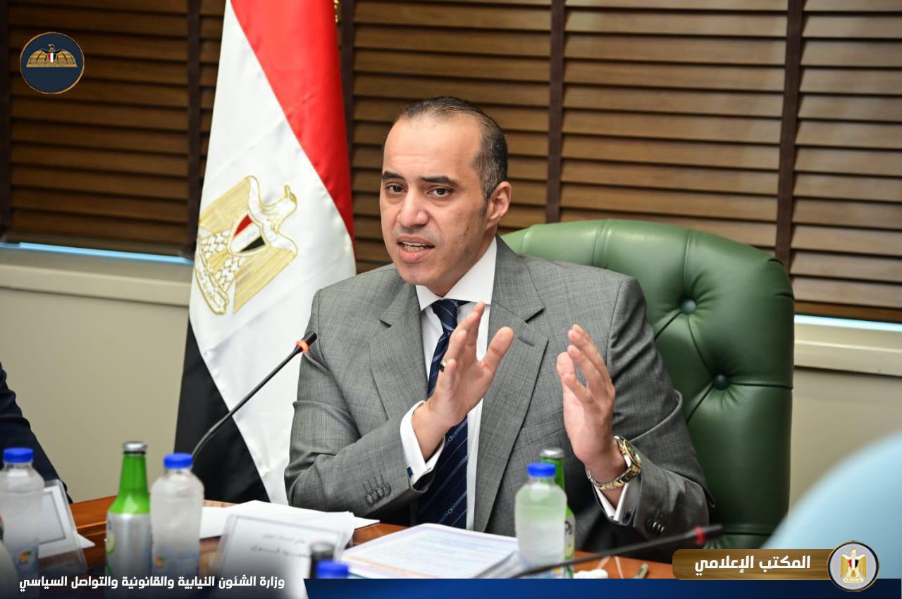 المستشار محمود فوزي