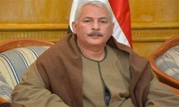 نقيب الفلاحين: لوفرة المعروض وانخفاض الأسعار.. فرصة مواتية لتخزين البصل والثوم والفراولة