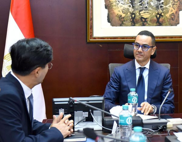 وزير الاستثمار