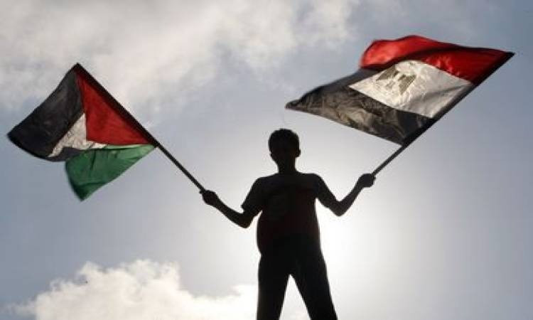 مراسلات إكسترا نيوز تكشف عن حراك مصري مكثف لدعم غزة على المستويين الإنساني والدبلوماسي