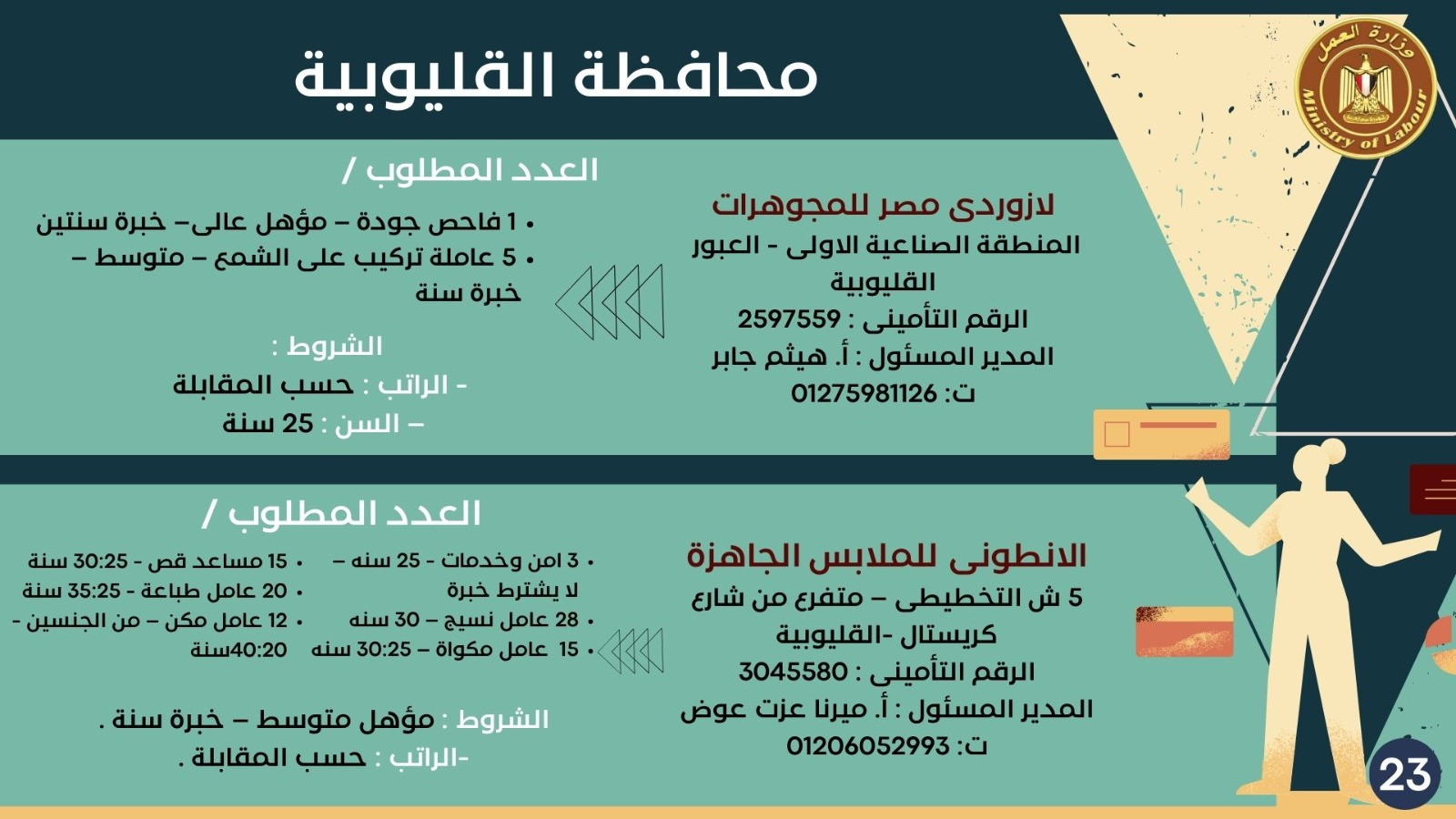 فرص عمل