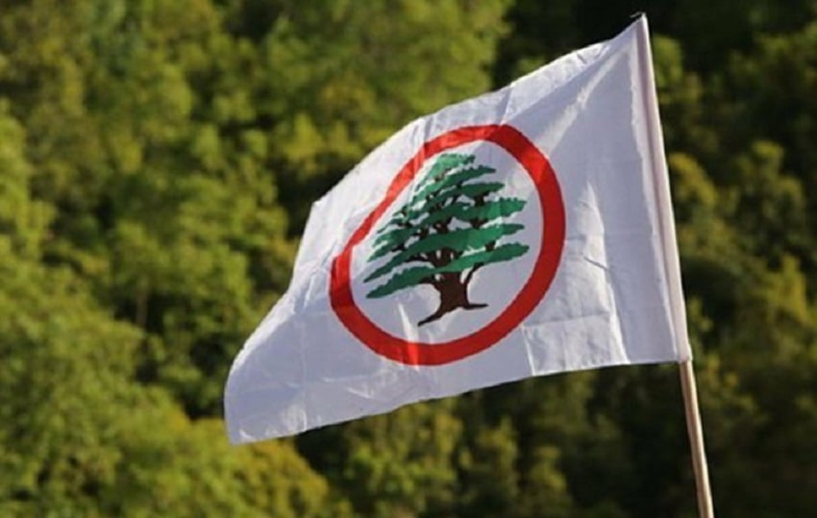 وزير الزراعة اللبناني يشيد بالدور المصري الكبير في دعم لبنان ووقف إطلاق النار