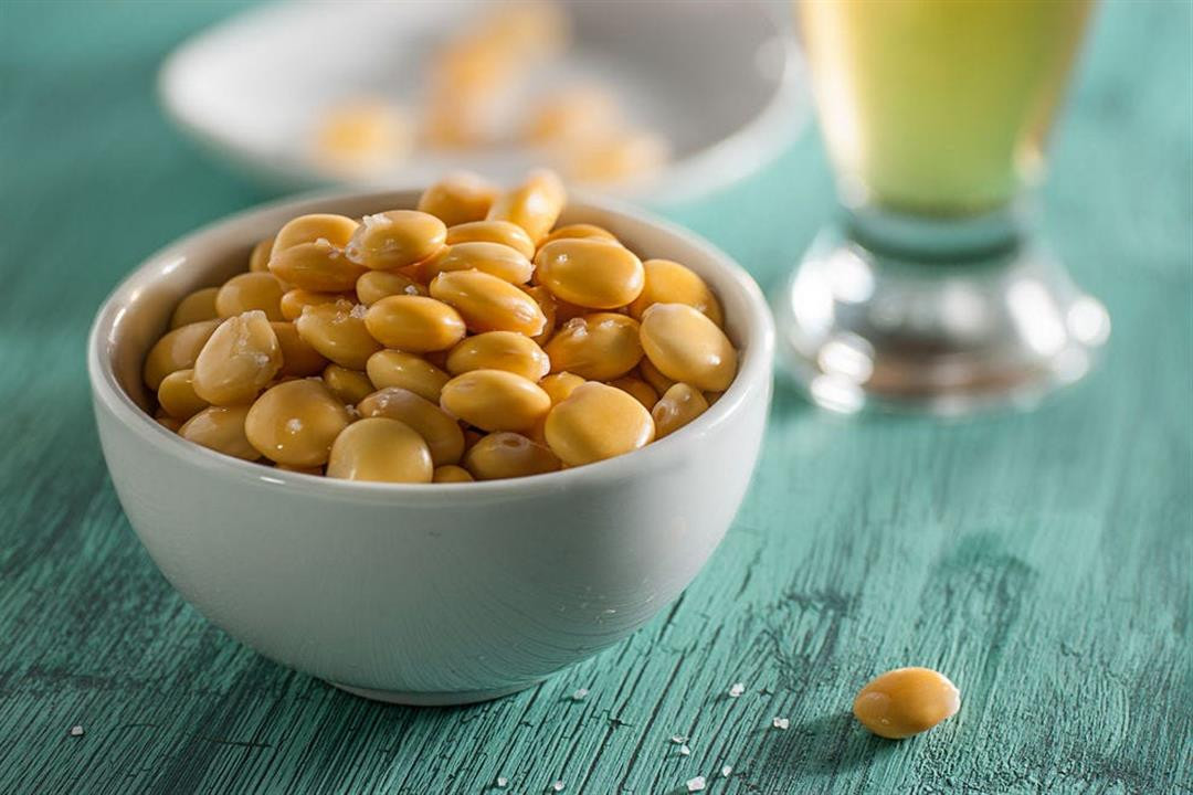 طريقة عمل الترمس في المنزل