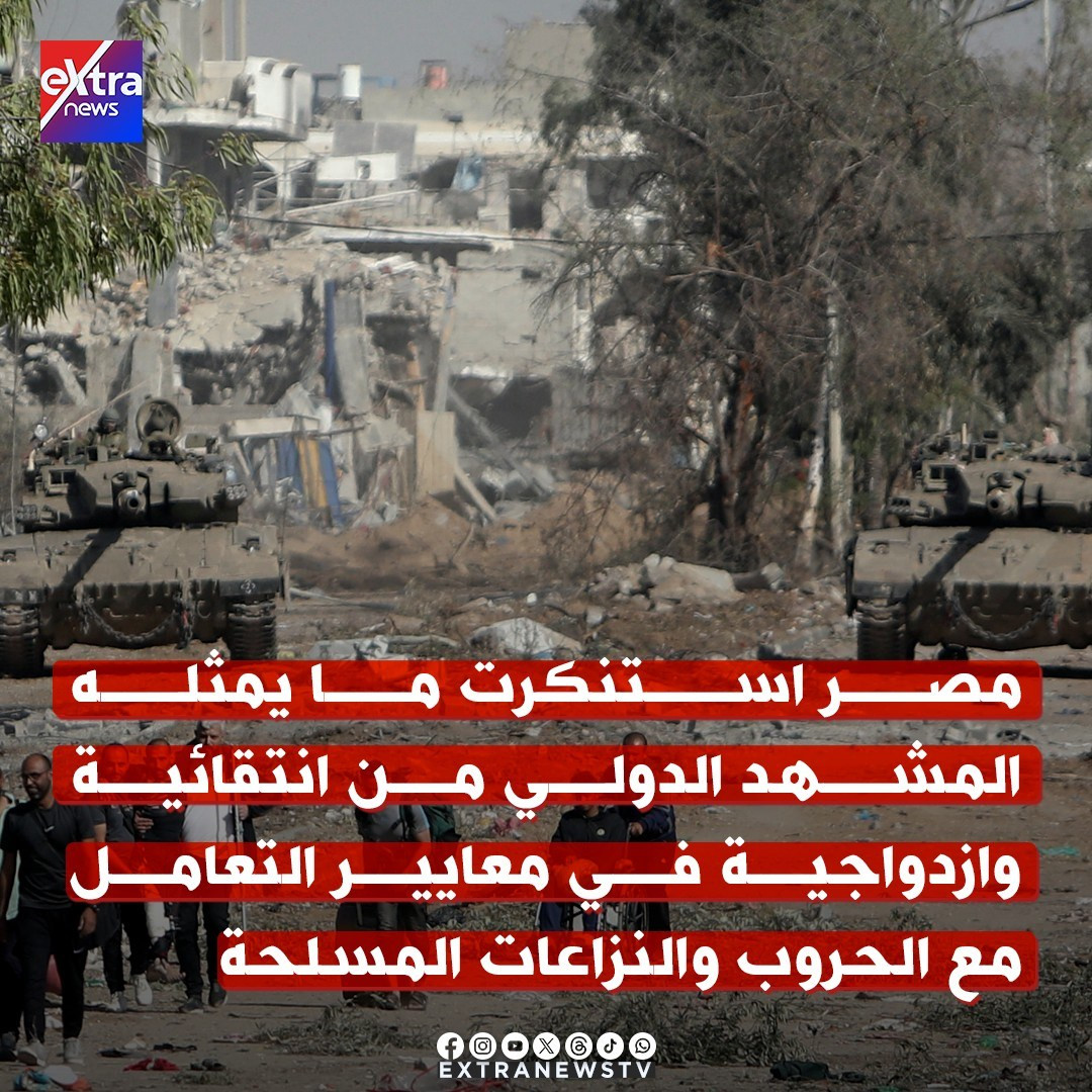 جهود مصر لدعم القضية الفلسطينية