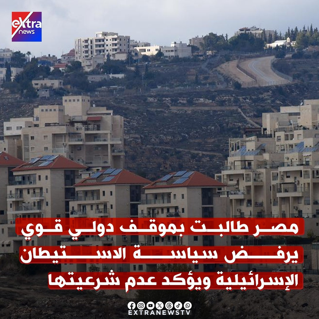 جهود مصر لدعم القضية الفلسطينية