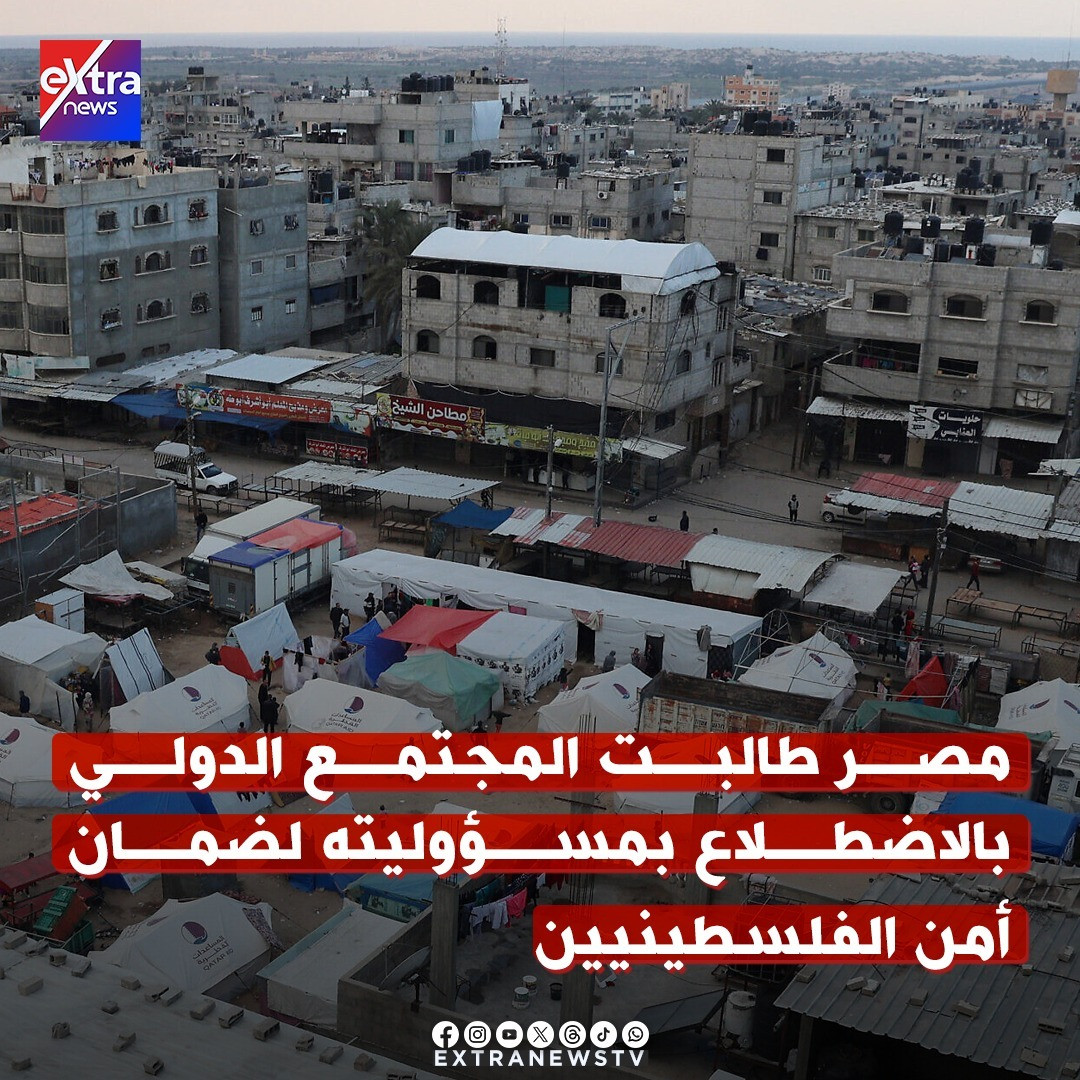 جهود مصر لدعم القضية الفلسطينية